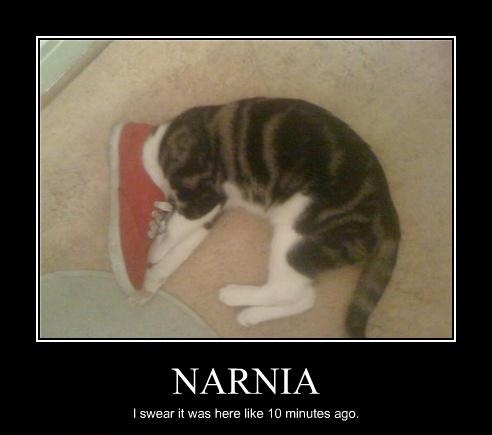 Narnia