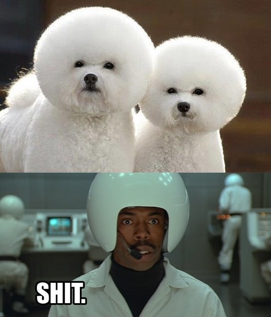 Dog Spaceballs Cosplay