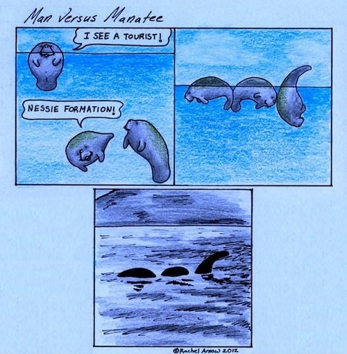 Man VS. Manatee