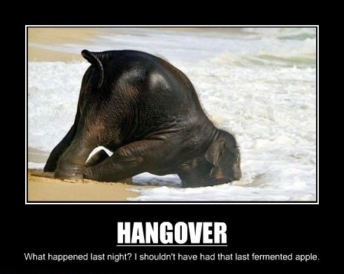 Hangover