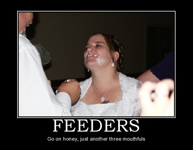 Feeders