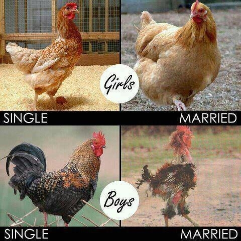 The effects of marriage