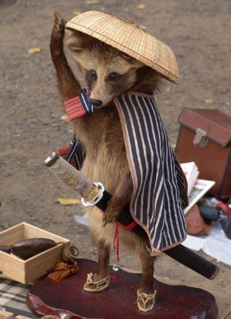 Meanwhile, In Azerbaijan..