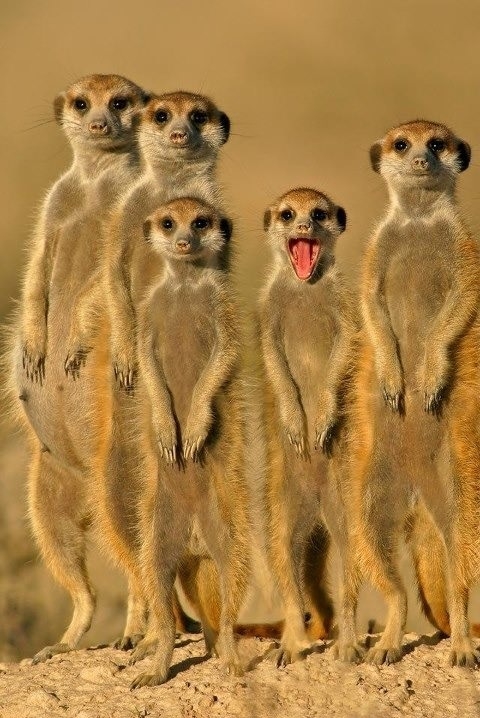 We all have that one friend