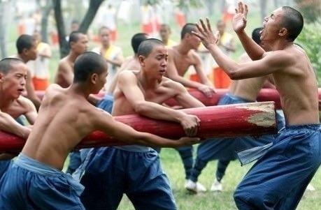 Try Kung Fu they said