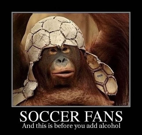 Soccer Fans