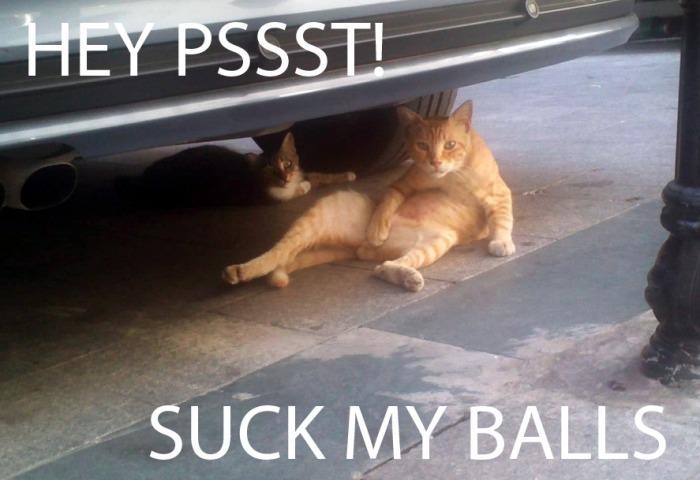 Hey! Psssttt! You!!!