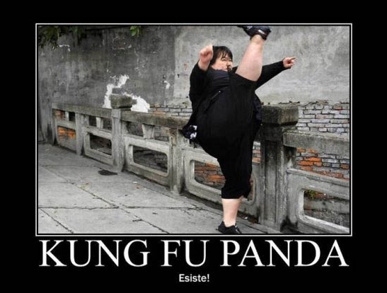 Kung Fu Panda