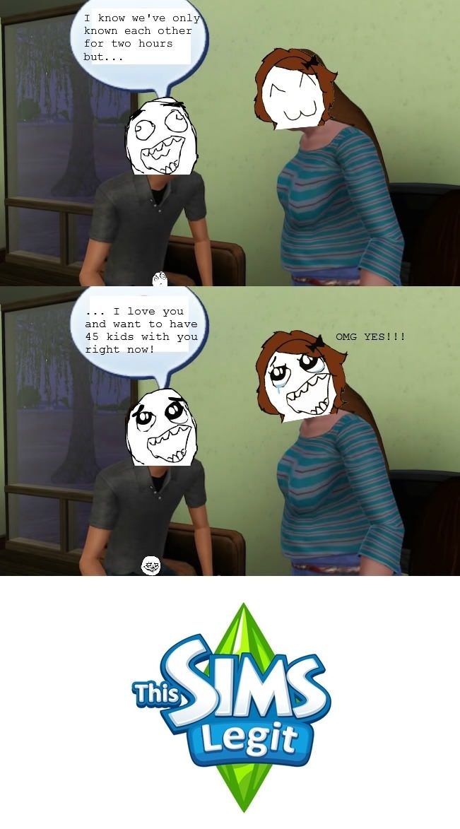 Everyday Life of a Sim