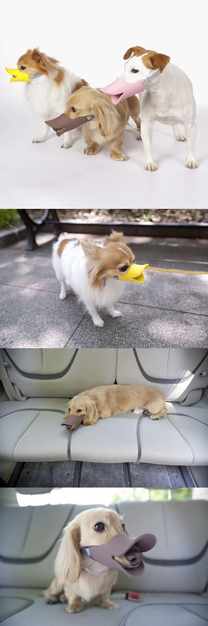 Duckface Protective Muzzle