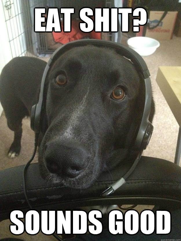 Gamer Dog Brb