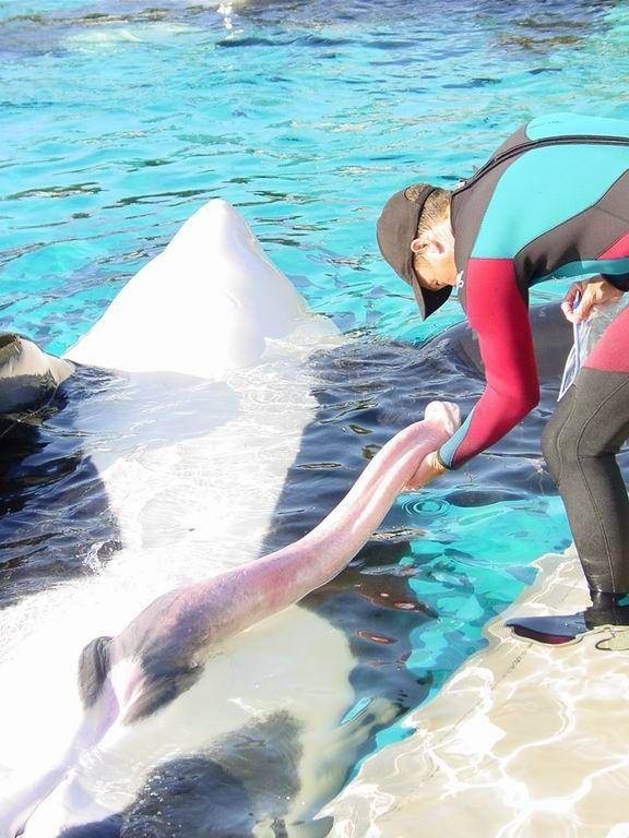 You think your job is hard