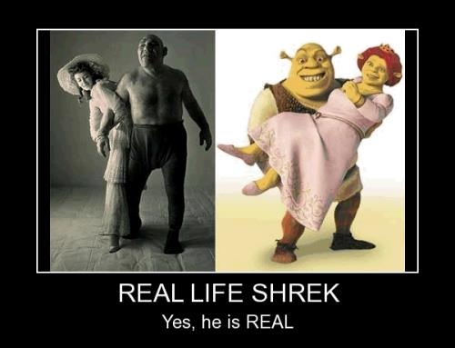 Real Life Shrek