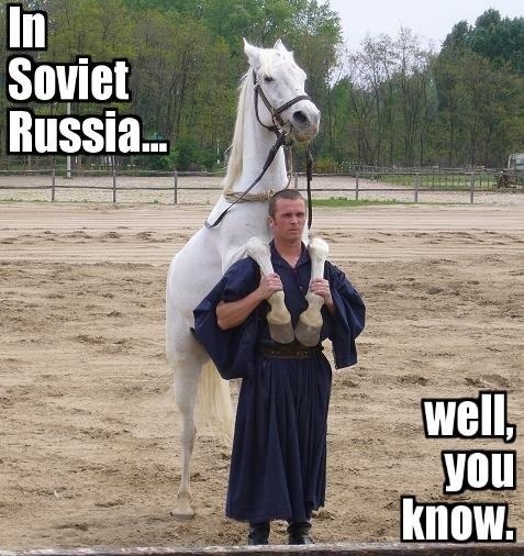 Horse rides you!