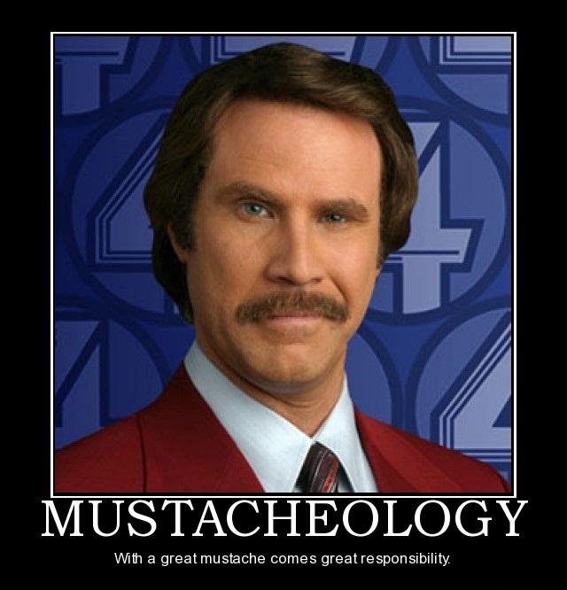 Moustacheology