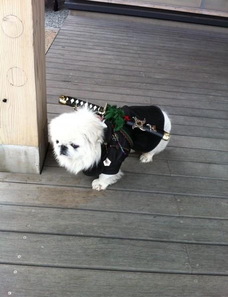 Meanwhile, In Japan..