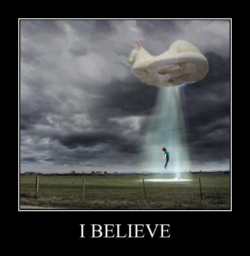 I believe!