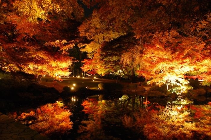 I love Autumn nights