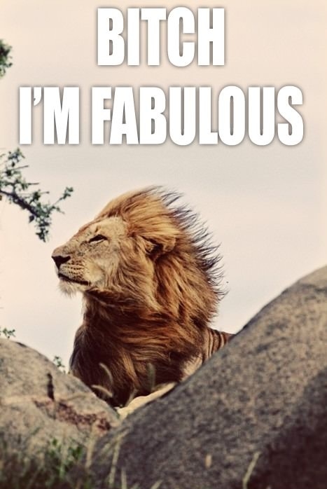 I'm fabulous!
