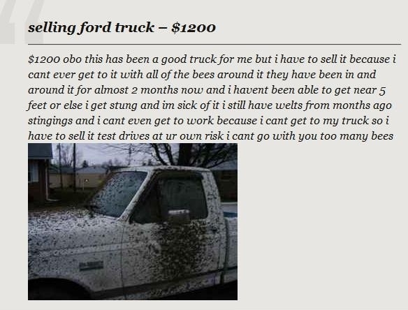 Will you buy this truck?