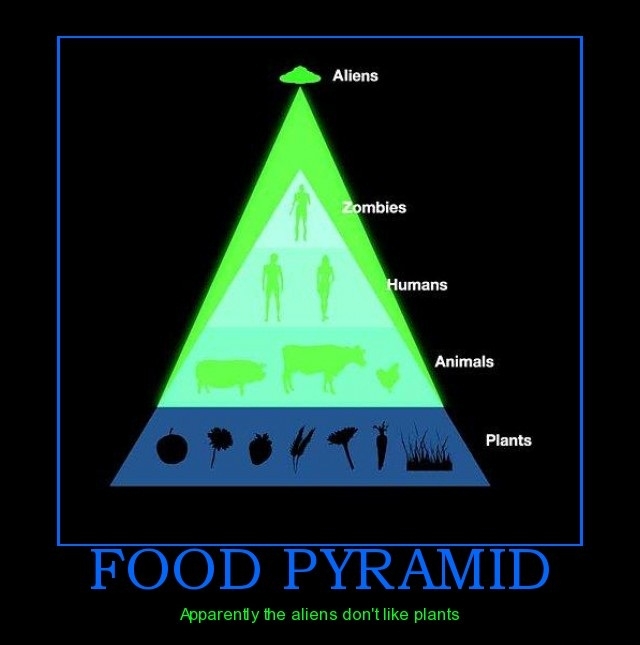 Food Pyramid