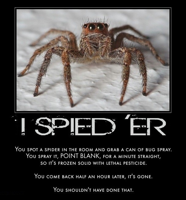 Fear of spiders