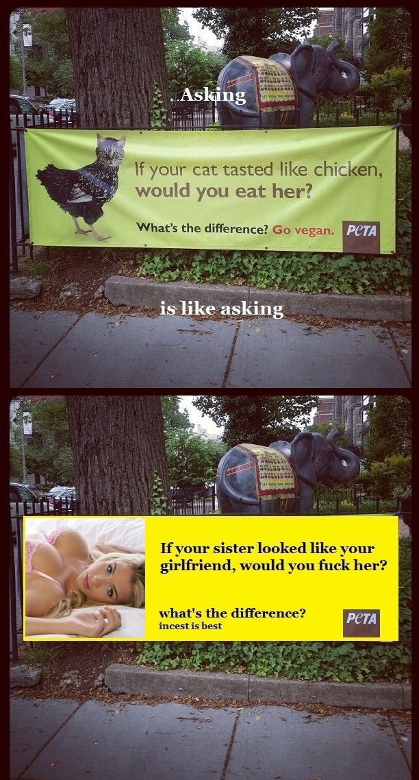 Really PETA?