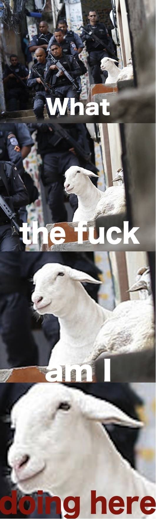 Wrong time, wrong place