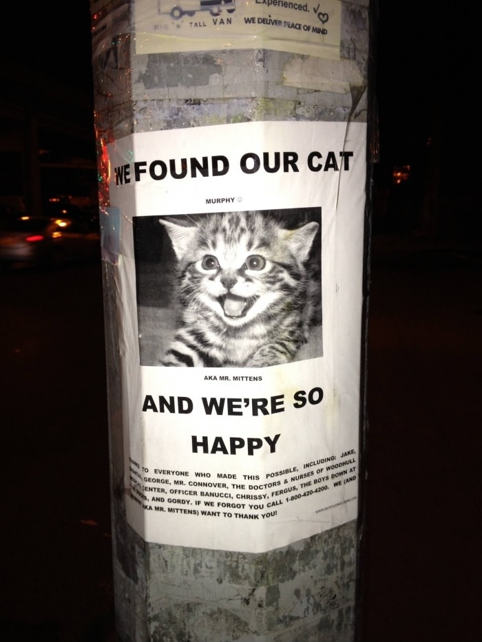 We found our cat!