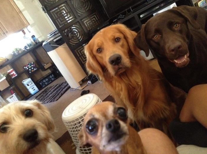 Eating bread, when suddenly!