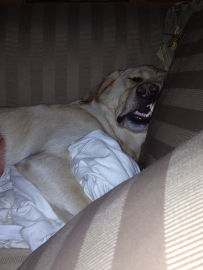 What a deep sleeper!