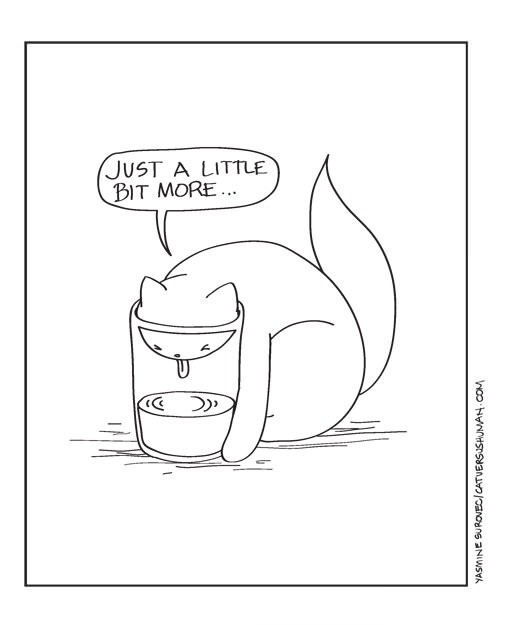 Cats love challenges