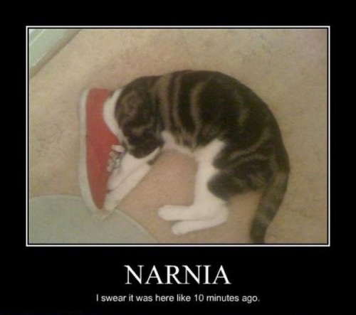 Narnia
