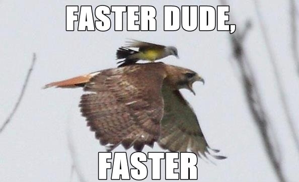 I'm trying, I'm trying!