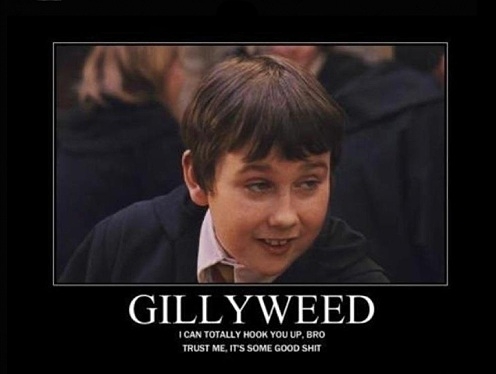 Gillyweed