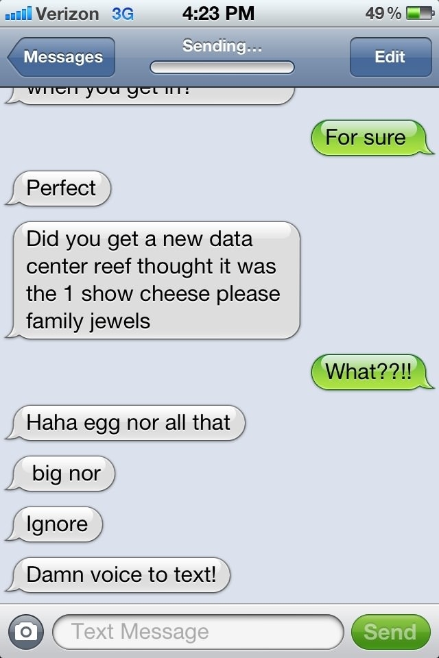 Damn voice to text!