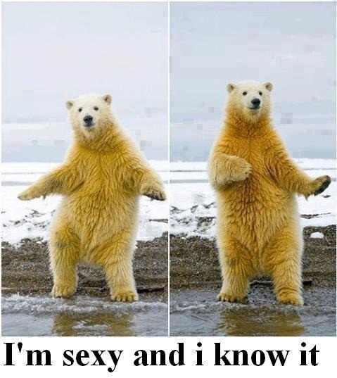 I'm se3xy and I know it