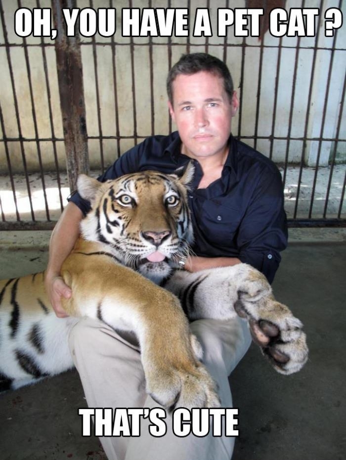 Oh, you have a pet cat?