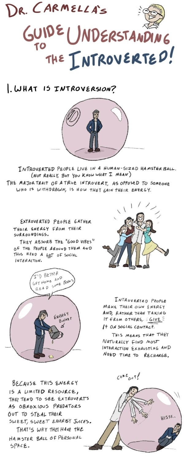 Understanding the Introverted