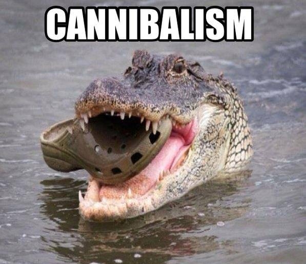 Cannibalism