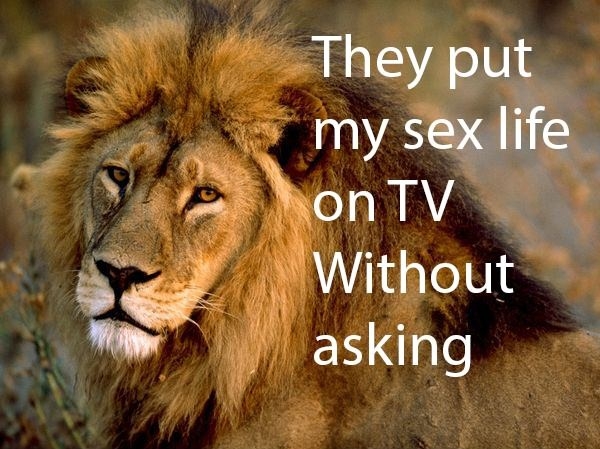 Damn you Animal Planet!