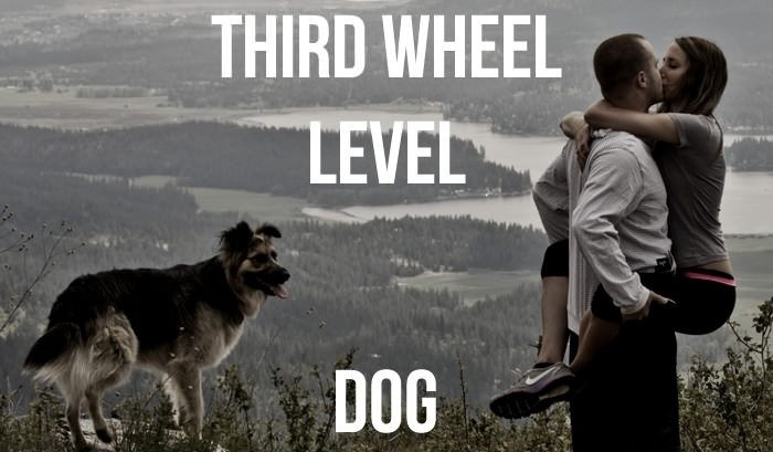 Third Wheel lvl: Dog
