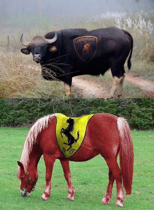 What would you choose?