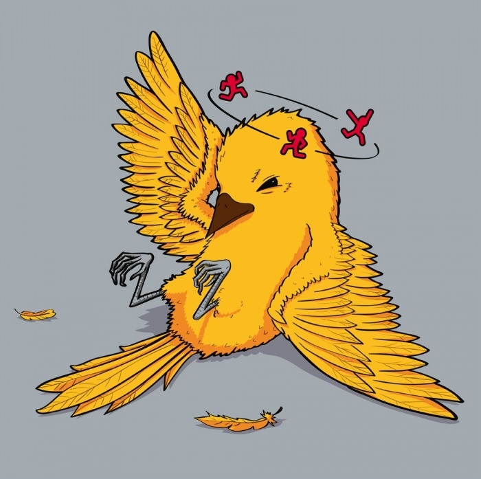 In a parallel universe