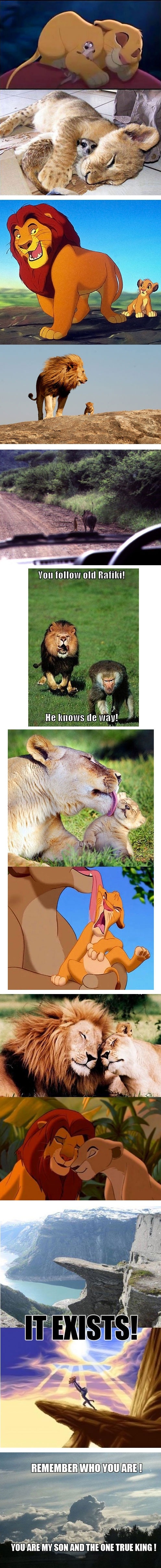 Lion king in real life