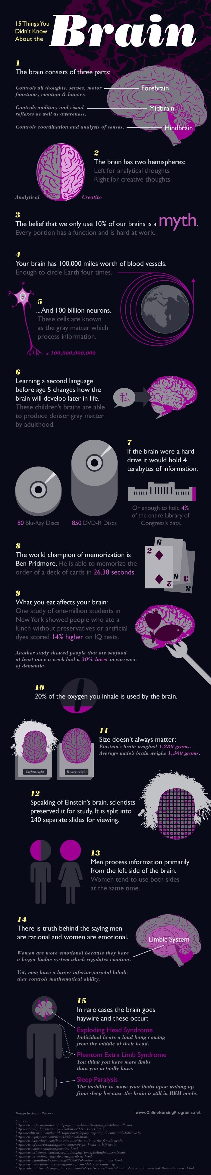 15 Facts About The Brain
