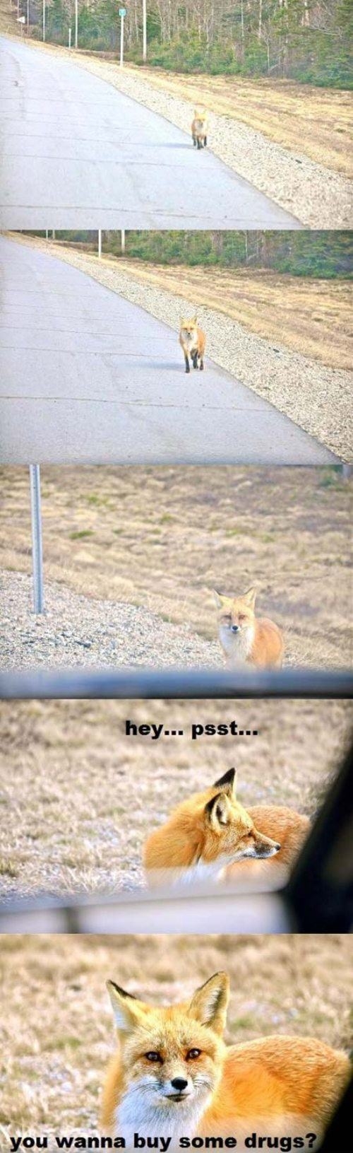 Hey.. psst!