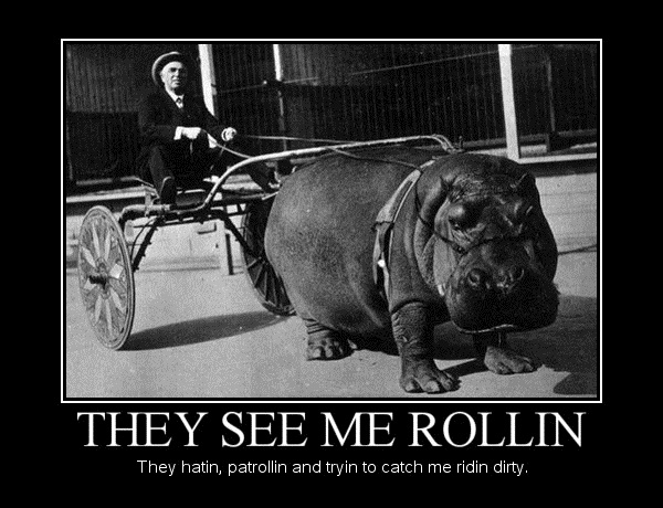 They see me rollin'