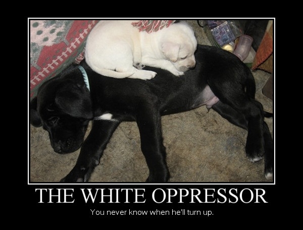 The White Oppressor