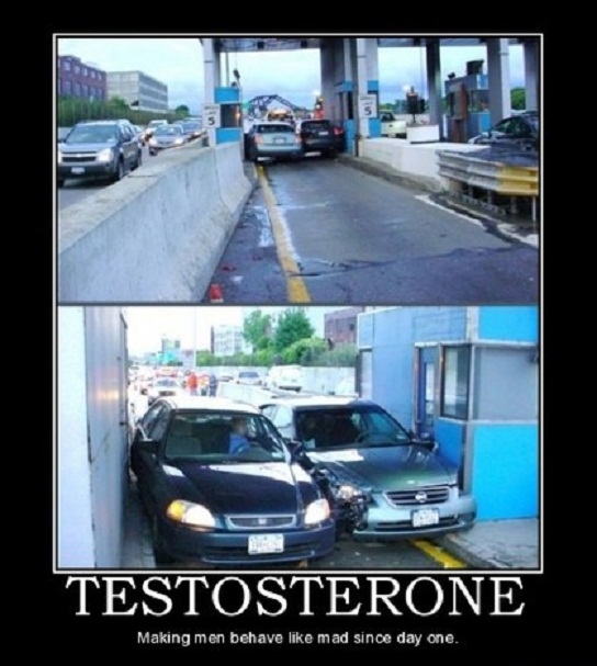 Testosterone